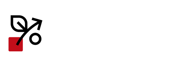 Logo Spring
